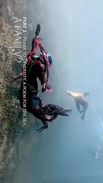 PART 2 - The First Full-Length Underwater Film in History, Performed Through Pure Freediving
