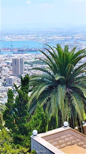 Breathtaking view of the City of Haifa 😍 #Israel #haifa #EretzYisrael #holyland #travel #amyisraelchai | My Beloved Jerusalem