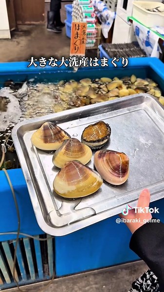 大洗海鮮市場で新鮮な海鮮を楽しもう！