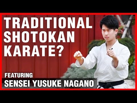 Traditional Shotokan Karate | ART OF ONE DOJO