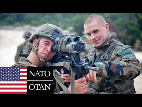 U.S. Marine Corps: French Foreign Legion, NATO