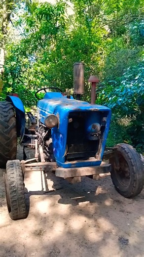 Old but Not Dead | Ford 3000 Tractor Awaits a Second Life