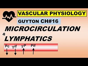 Physiology Guyton Ch#16 | Microcirculation & Lymphatics | Capillary Exchange | Lymph Flow
