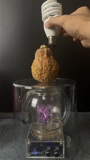 Lightning power#LightningE #TeslaCoil #HighVoltage #ViralShorts