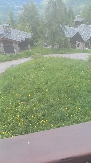 Gatte Jacob on Reels