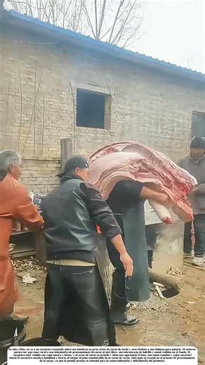 A Worker Cutting a Large Piece of Meat into Chunks with a Cleaver