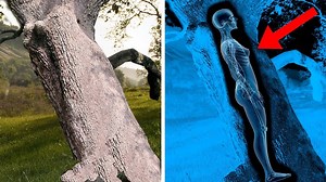 275K views · 395 reactions | 10 Most Unexplained Recent Archaeological Discoveries! | Mysterious Stories | Facebook