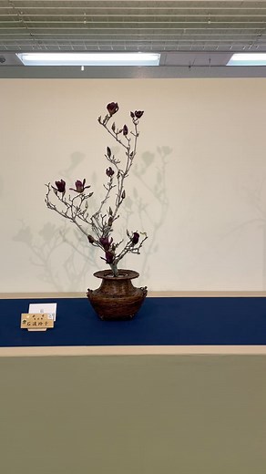 🌸いよいよ最終日！「春のいけばな展-池坊中央研修学院祭-」🌸 枝の先の先までいけ手の思いが込められた作品の数々。静かに心打たれます💘 お天気も回復しましたので、ぜひ、ご来場ください☀ 本日18日(月)16時までです。 | いけばな池坊 ikebana ikenobo (official)