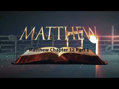 Matthew Chapter 12, Part 1, King James Version