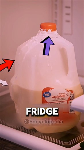 Why Do Milk Jugs Have Dimples? The Genius Reason Nobody Talks About🥛