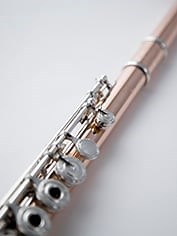 Professional Flutes - Just Flutes