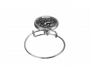 Watch Alex and Ani Phoenix EWR Rafaelian Silver Stackable Ring, Size 5-7 on Amazon Live