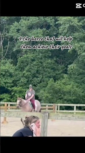 4 different types of horse #horse