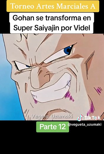 Torneo Artes Marciales: Gohan vs. Spopovich - Parte 12
