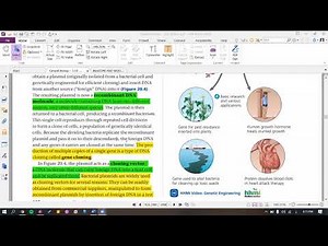 Bio Lo1 (STEM Curriculum)