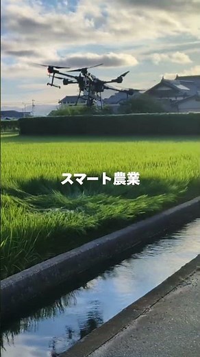 【山口県防府市】ふるさと寄附金の使い道紹介動画【日本一の担い手支援！農業振興事業】#shorts #ふるさと納税