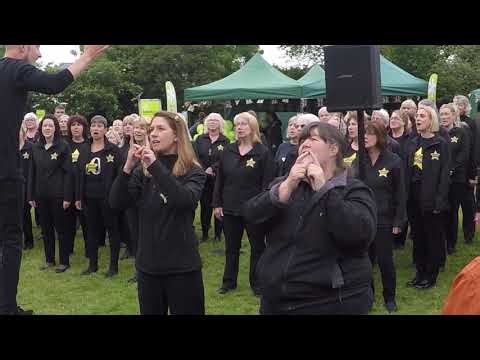 Rock Choir perform 'A Thousand Years' with sign language.