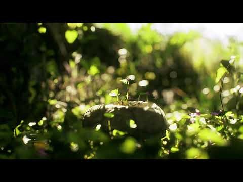 No Copyright Video, Background, Green Screen, Motion Graphics, Animated Background, Copyright Free