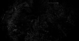 Criminal Minds 920: Blood Relations