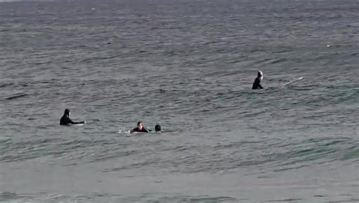 Improving Skills on My Shortboard Surfing Journey