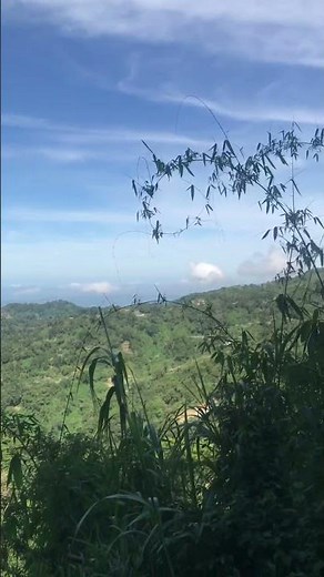 Cycling Pov: Bike exercise Mountain View’s #cycling #biker #travel