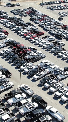 Wild Willies Custom Accessories on Reels