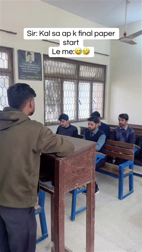 Funny Insights on Over-Educated Students