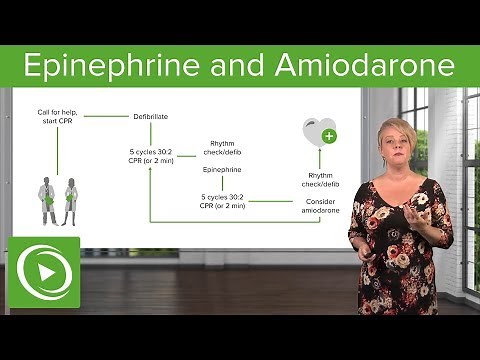 Epinephrine and Amiodarone – Cardiovascular Emergencies & Shock | Lecturio