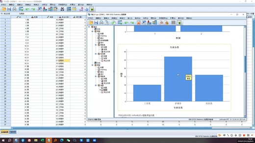 spss入门到精通-频率分析