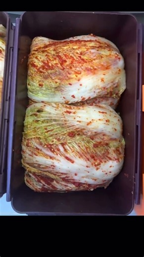 곰팡이 걱정없이 김치 오래 보관하는 비법! 김치 비닐 덮으면 곰팡이 생겨요! #건강정보