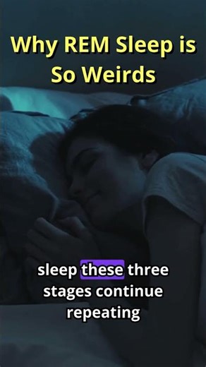 REM Sleep Explained: What Really Happens in Your Brain