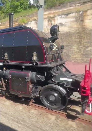 Steam train race! Garratt 6029 overtakes #trainrace #steamtrains