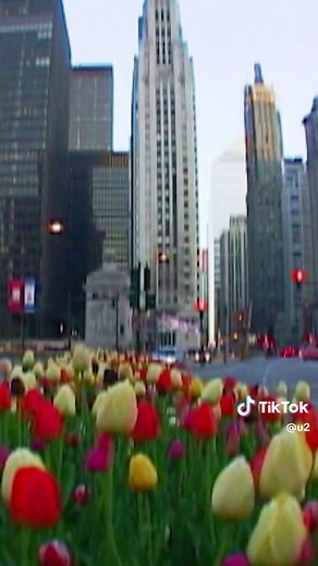 Re-live Vertigo Concert Experience from Chicago 2005