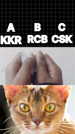 which one is your favourite team in IPL?🚀 RCB KKR CSK