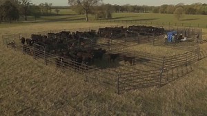 Priefert Manufacturing TV Spot, 'Since 1964'