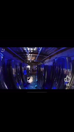 11K views · 62 reactions | 各位大家好，我們今天要來講的主題是Cryogenic...