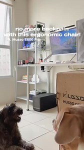 21 reactions · 14 shares |  Kickstart 2025 with our ergonomic chairs at a special discount! Say goodbye to back pain and hello to better posture with: ✅ Advanced ergonomic design ✅ Fully adjustable features ✅ Durable and breathable materials ⏳ Limited-time offer—don’t wait! ⏳ Upgrade your workspace now and enjoy comfort like never before. | Musso Philippines | Facebook