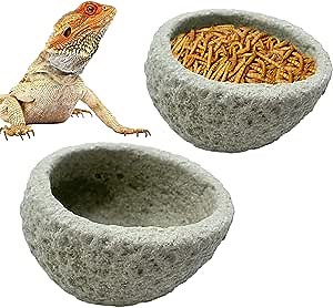 Reptile Food Bowl Terrarium Water Dish Resin Rock Feeder Bowl Rock Feeder Tank Decor for Pet Tortoise Lizard Frog Gecko Chameleon 2 Pcs