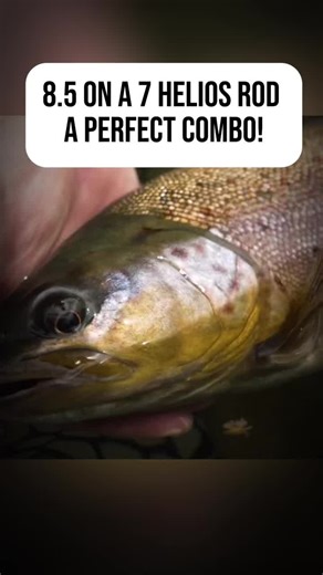 Helios Streamer Fly Rod Review for Successful Fishing
