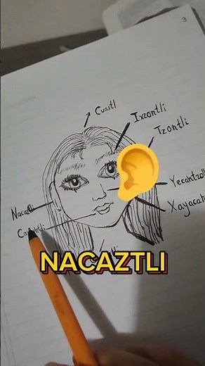 We teach them how to say some words in #Nahuatl