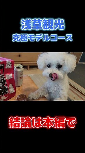 【保存版】浅草観光を100％楽しむモデルコース #japantravel