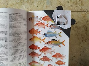 origami bookmark | origami panda bookmark by quentin trollip