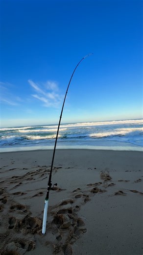113K views · 1.5K reactions | Beach fishing | Pinoy Australia | Facebook