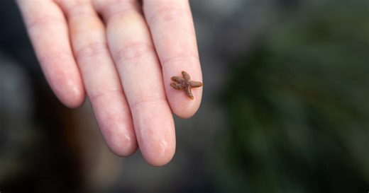 Oceanic humanities project envisions new wave in education