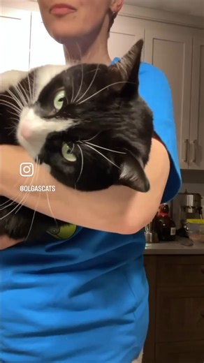 5.4K views · 28 reactions | Rumble on Reels | Facebook