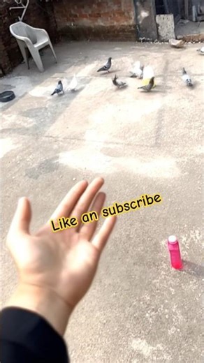 😁#newtrending tutorial🌞🤪 #facecam trending #shorts🗿