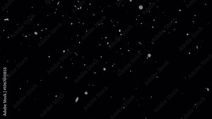Winter snowfall, snow animation, seamless loop. Isolated snow falling on a transparent background. Realistic snow fall seamless loop animation. Falling snow flakes overlay. Alpha channel