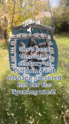 When elegance meets a 40 mph gust! This Edwardian beaded beauty is holding strong in the Wyoming wind!   #edwardian #antiques #antiquefinds #vintagecollector #victorian | Copper Cuff Boutique | Facebook