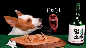 [Real Mouth]韩国奇葩吃播小哥与小狗REALBOWTH的日常专门为小狗做鸡爪和葡萄糖水制成的饮料