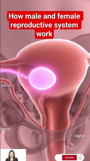 How Male and Female Reproductive Systems Work | 3D Medical Animation 🧬👫#shortvideo #medicaleducation